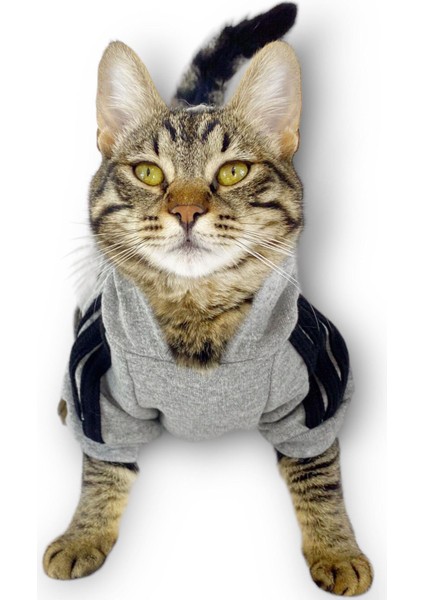 Gri Adidog Kapşonlu Duo Kedi Sweatshirt