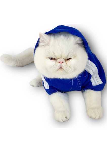 Saks Mavi Adidog Kapşonlu Kedi Sweatshirt Kedi Kazağı fiyatları