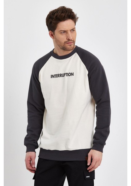 Regular Fit Sweatshirt (E23-73103)