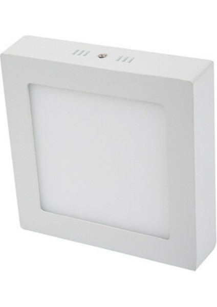 30 Watt Beyaz Kasa Gün Işığı Sıva Üstü Kare LED Panel (CT-5274)