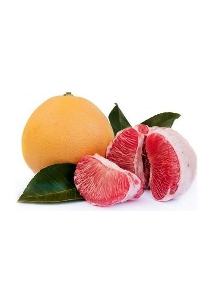 Şadok Ağaç Kavunu Citrus Maxima Pomelo 3 Yaş Aşılı Tüplü