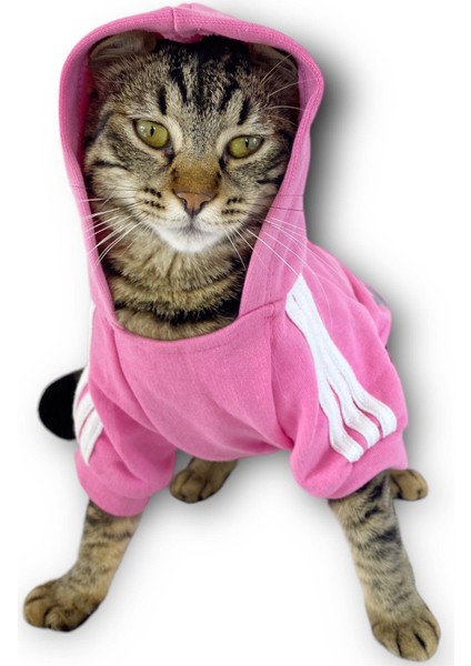 Pembe Adidog Kapşonlu Kedi Sweatshirt Kazak