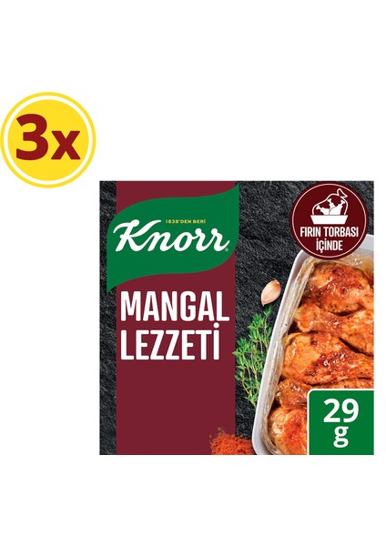 Fırında Tavuk Çeşnisi Mangal Lezzeti 29 gr X3