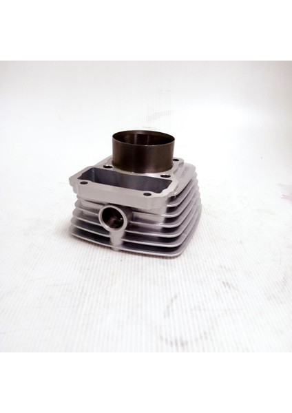 Zhongshen Cg 150 Silindir 15-62