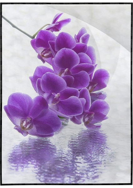 Orkide Çiçeği Doğa Dekoratif Poster P-004636
