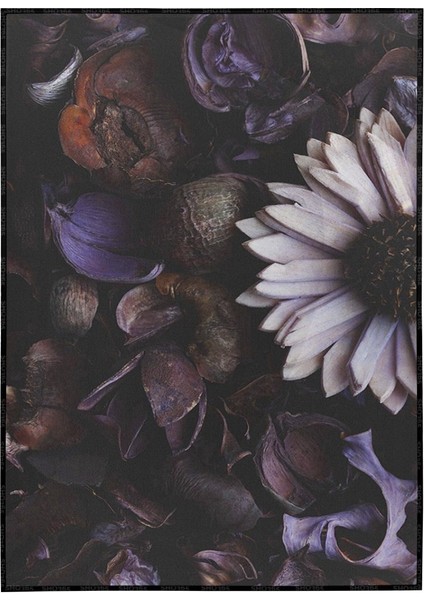 Mor Çiçek ve Kurutulmuş Çiçekler Dekoratif Poster P-004590