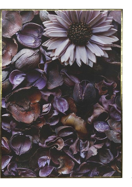 Mor Çiçek ve Kurutulmuş Çiçekler Dekoratif Poster P-004591