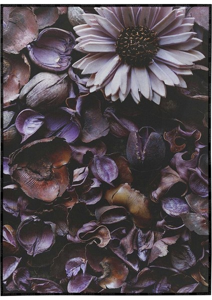 Mor Çiçek ve Kurutulmuş Çiçekler Dekoratif Poster P-004591