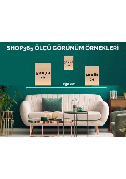Fırça Darbeleri ve Şekiller Pastel Renkler Modern Poster P-004429