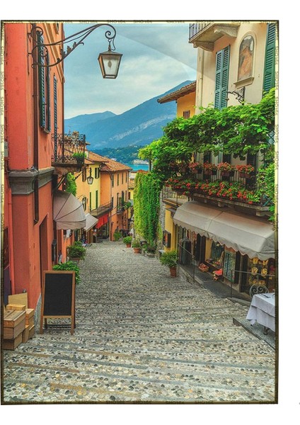 Turistik Arnavut Kaldırımlı Sokak Manzara Poster P-000014