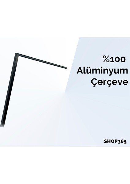 Kuru Kafa Iskelet Karışık Renkler Illüstrasyon Poster P-000033 fiyatları