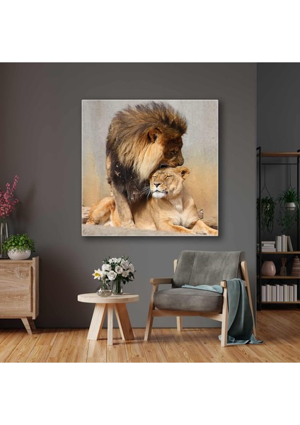 Ormanlar Kralı Aslan ve Kaplan Romantik Hayvan Kanvas Tablo