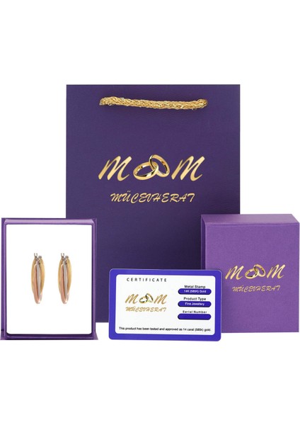 Kadın Italyan3 Renkli Rose Beyaz Yeşil Halka Küpe 14 Ayar Altın (2,8 CM)-MMKP697