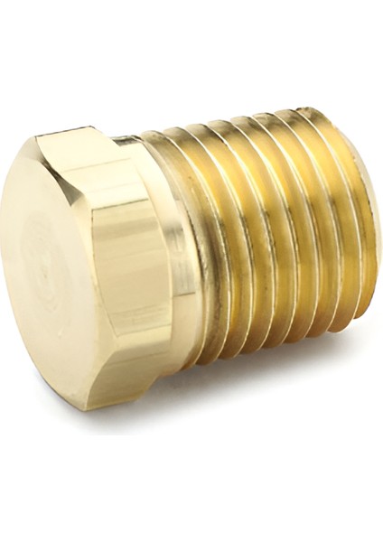 Plug 1/4 Inç 218P-4 / Altıgen Başlı Boru Tapası Hex