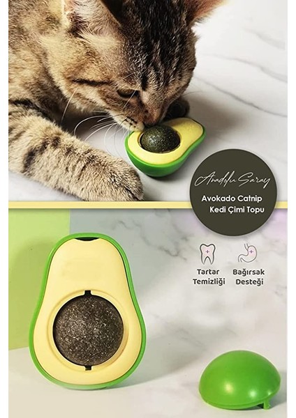 Avokado Catnip Avokado Kedi Çimi Topu Avokado Kedi Nanesi Oyuncağı Arkası Yapışkanlı Catnip