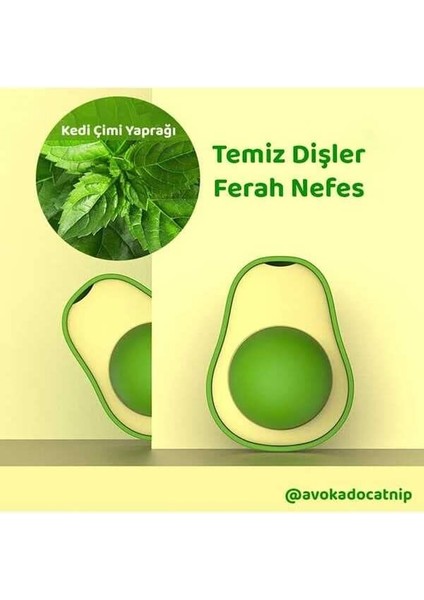 Avokado Catnip Avokado Kedi Çimi Topu Avokado Kedi Nanesi Oyuncağı Arkası Yapışkanlı Catnip