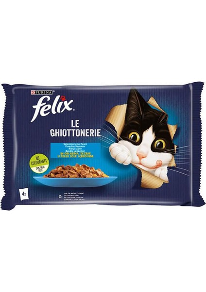 Multıpack Somonlu Pouch Mama 4X85 Gr-