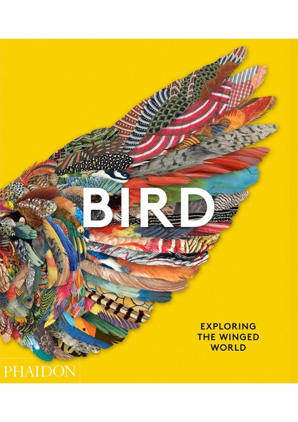 Bird Exploring The Winged World