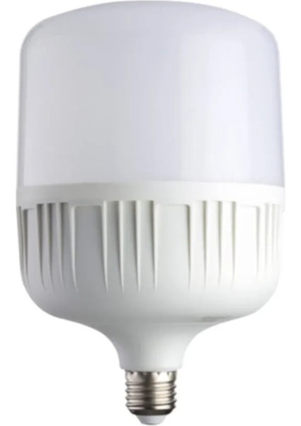 Quality Address 30W Torch Led Ampul