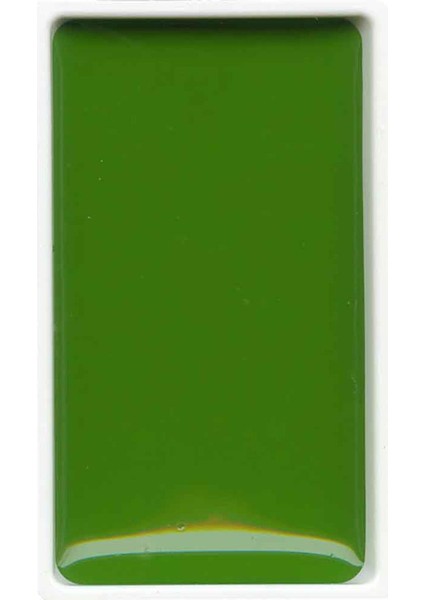 Gansai Tambi Suluboya Tablet No 53 Sap Green