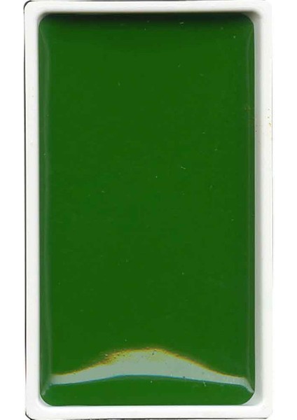 Gansai Tambi Suluboya Tablet No 52 Hookers Green