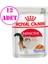 İnstinctive Jelly Kedi Konservesi 85 Gr 12 Adet 1