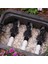 100DV Solenoid Vana 24V 1 Inç 4 Adet 2