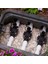 100HV Solenoid Vana 1 Inç 24V. 8 Adet 3