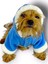 Blue Furry Kapşonlu Ceket Sweat By Kemique Köpek Kazağı 1