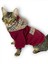 Bb Limited Bordo Duo Kapşonlu Kedi Sweatshirt 2