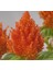 Horoz Ibiği Tohumu ( Tüy Uzun Boylu ) - Turuncu Renkli - 40 Tohum 1