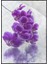 Orkide Çiçeği Doğa Dekoratif Poster P-004636 1