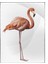 Flamingo Hayvan Sanatsal Poster P-004584 1