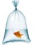 Naylon Bakkaliye Torbası 70 x 120 cm 25 kg 5