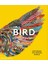 Bird Exploring The Winged World 1