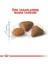 Exigent Kedi Maması - 10 kg 4