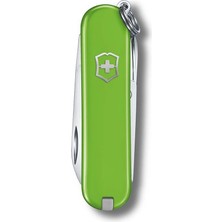 Victorinox 0.6223.43G Smashed Avocado Classic Çakı