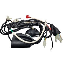 Kaly Mondial X-Treme Max 200 Elektrik Tesisatı