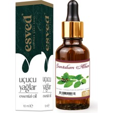 Esved Sandal Ağacı Kokusu Saf Esansiyel Uçucu Yağ Buhurdanlık Yağı Difüzör Esansı Aromaterapi Ortam Koku 10ML