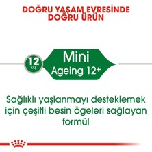 Royal Canin 6 Adet Royal Canin Mini Ageing 85 gr