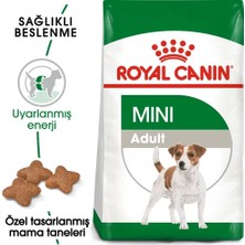 Royal Canin 2 kg Küçük Irk Yetişkin Köpek Maması