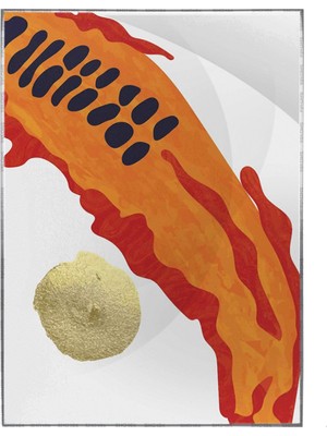 SHOP365 Şekiller Karışık Renkler Modern Dekoratif Poster P-003036