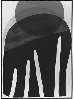SHOP365 Şekiller Siyah Beyaz Renkler Modern Poster P-002956
