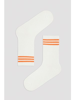 Penti Renkli Çizgili 3lü Soket Çorap