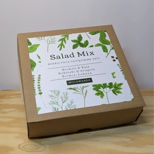 Mikro Filiz Yetiştirme Kiti - 2'li Salad Mix - Brokoli, Kale, Kohlrabi, Roka, Kırmızı Lahana
