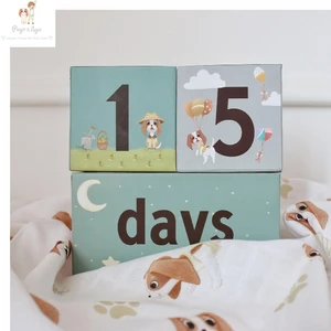 Puyo&aya ve Baby Tales Anı Küpleri