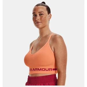Under Armour Kadın UA Dikişsiz Low Long Spor Sütyeni 1357719-868