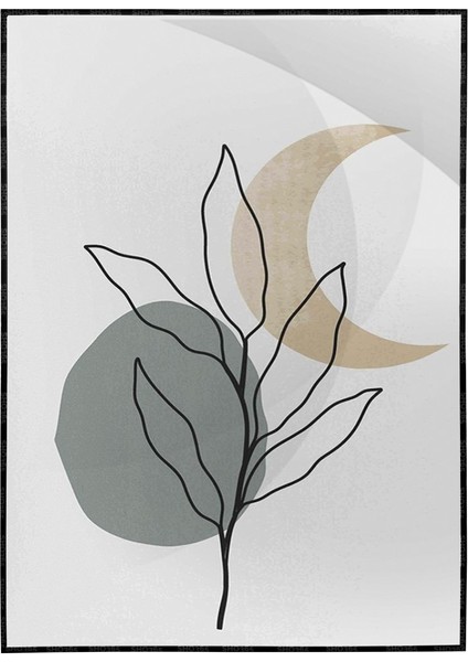 Bitki Yapraklar ve Şekiller Modern Poster P-002746