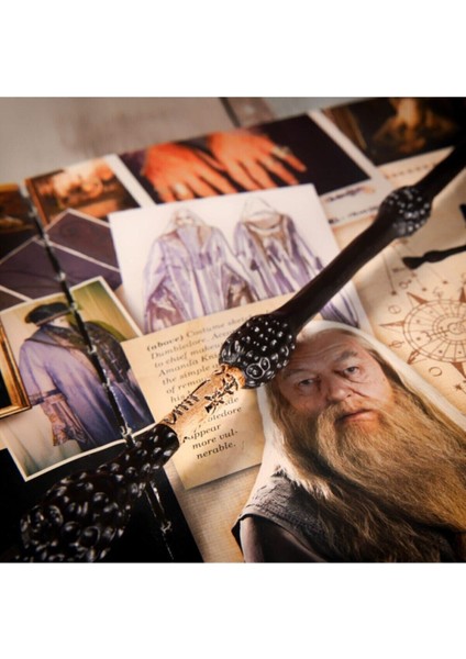 Wizarding World Asa - Albus Dumbledore indirimleri