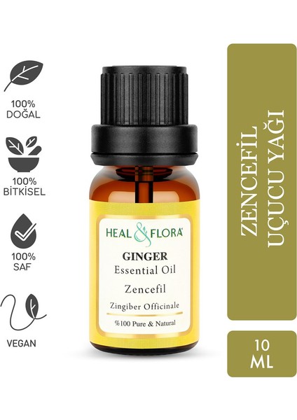 Ginger Essential Oil